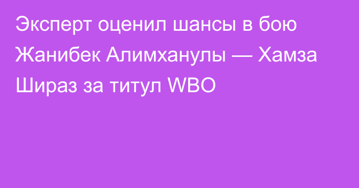 Эксперт оценил шансы в бою Жанибек Алимханулы — Хамза Шираз за титул WBO