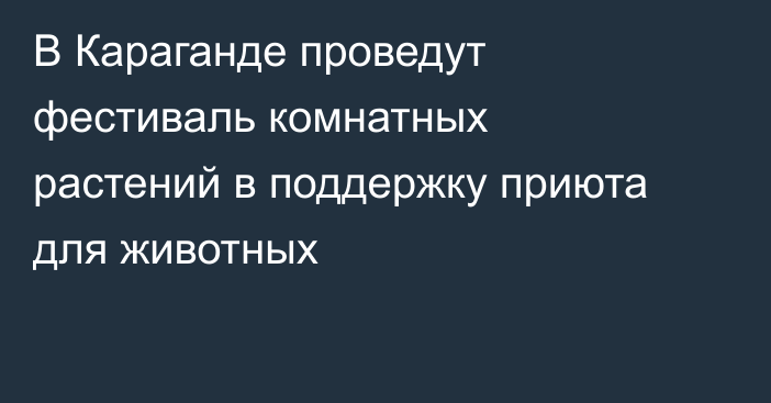 В Караганде проведут фестиваль комнатных растений в поддержку приюта для животных