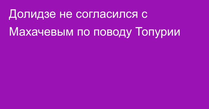 Долидзе не согласился с Махачевым по поводу Топурии