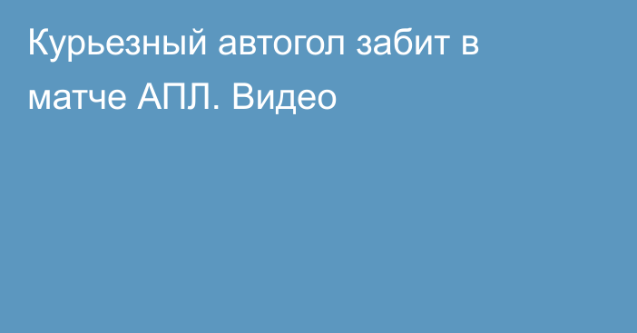 Курьезный автогол забит в матче АПЛ. Видео