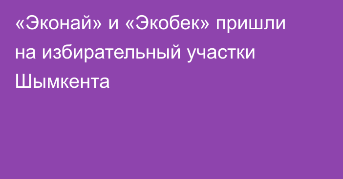«Эконай» и «Экобек» пришли на избирательный участки Шымкента