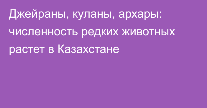 Джейраны, куланы, архары: численность редких животных растет в Казахстане