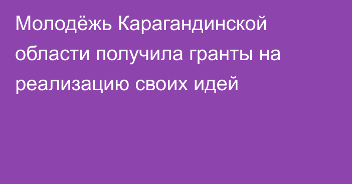 Молодёжь Карагандинской области получила гранты на реализацию своих идей