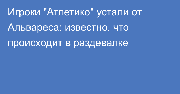Игроки 