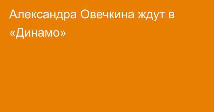 Александра Овечкина ждут в «Динамо»