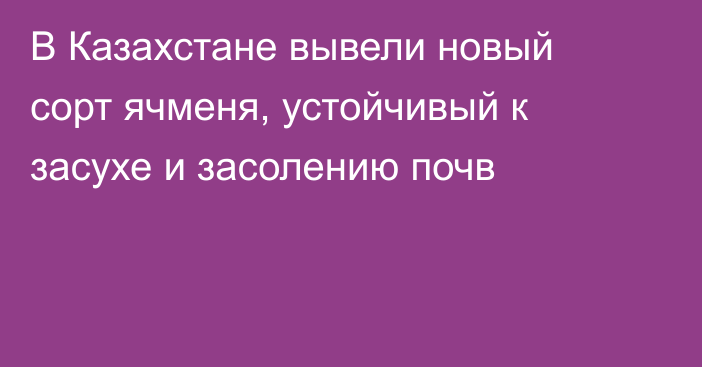 В Казахстане вывели новый сорт ячменя, устойчивый к засухе и засолению почв