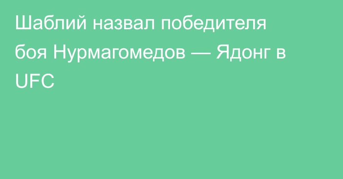 Шаблий назвал победителя боя Нурмагомедов — Ядонг в UFC