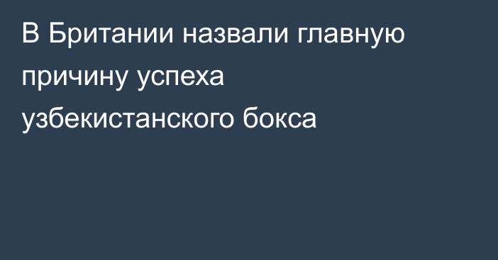 В Британии назвали главную причину успеха узбекистанского бокса