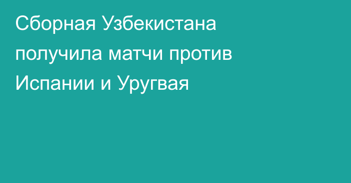 Сборная Узбекистана получила матчи против Испании и Уругвая