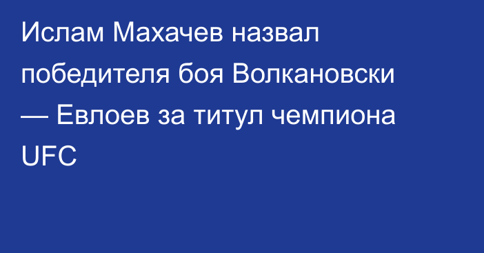 Ислам Махачев назвал победителя боя Волкановски — Евлоев за титул чемпиона UFC