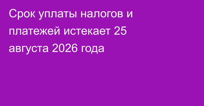 Срок уплаты налогов и платежей истекает 25 августа 2026 года