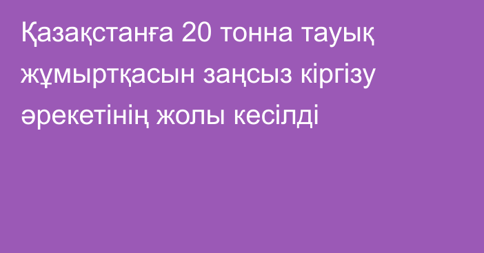 Қазақстанға 20 тонна тауық жұмыртқасын заңсыз кіргізу әрекетінің жолы кесілді