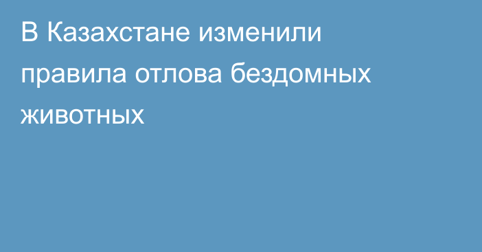 В Казахстане изменили правила отлова бездомных животных