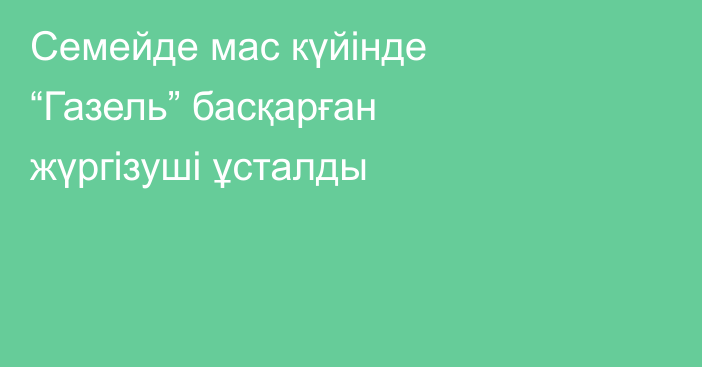 Семейде мас күйінде “Газель” басқарған жүргізуші ұсталды