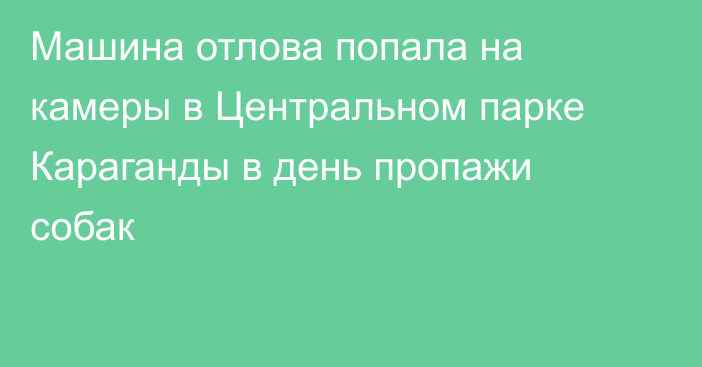 Машина отлова попала на камеры в Центральном парке Караганды в день пропажи собак