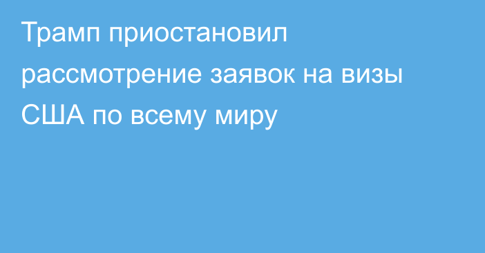 Трамп приостановил рассмотрение заявок на визы США по всему миру