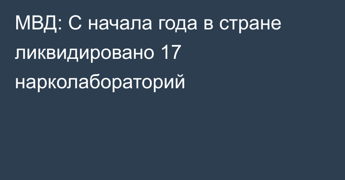 МВД: С начала года в стране ликвидировано 17 нарколабораторий