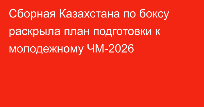 Сборная Казахстана по боксу раскрыла план подготовки к молодежному ЧМ-2026