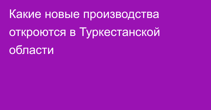 Какие новые производства откроются в Туркестанской области