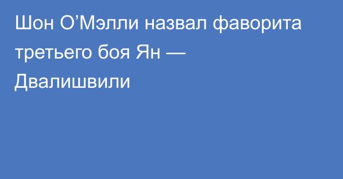 Шон О’Мэлли назвал фаворита третьего боя Ян — Двалишвили