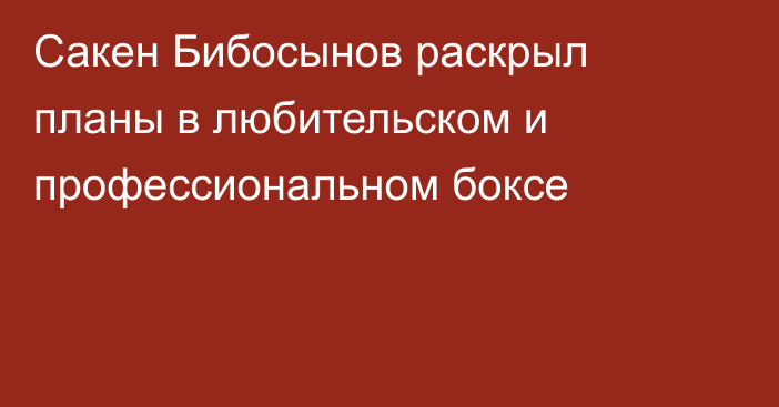 Сакен Бибосынов раскрыл планы в любительском и профессиональном боксе