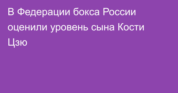 В Федерации бокса России оценили уровень сына Кости Цзю