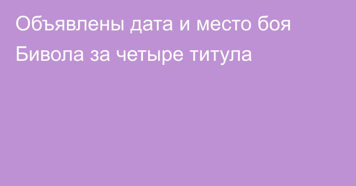 Объявлены дата и место боя Бивола за четыре титула
