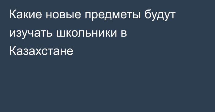 Какие новые предметы будут изучать школьники в Казахстане