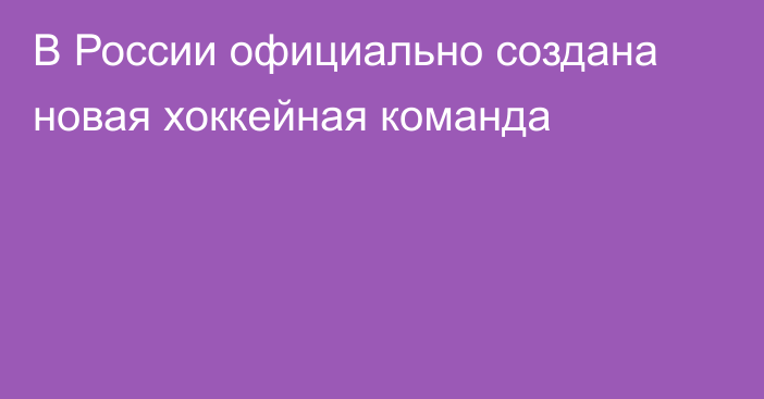 В России официально создана новая хоккейная команда