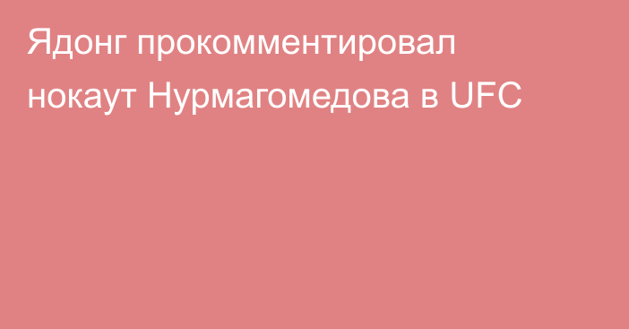 Ядонг прокомментировал нокаут Нурмагомедова в UFC