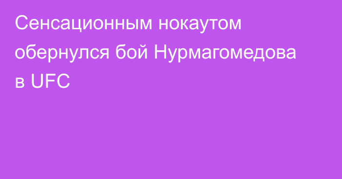 Сенсационным нокаутом обернулся бой Нурмагомедова в UFC