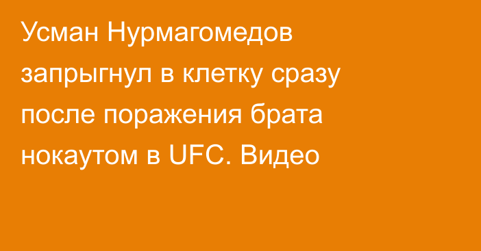 Усман Нурмагомедов запрыгнул в клетку сразу после поражения брата нокаутом в UFC. Видео