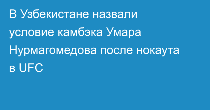 В Узбекистане назвали условие камбэка Умара Нурмагомедова после нокаута в UFC