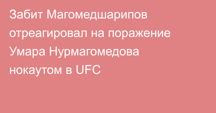 Забит Магомедшарипов отреагировал на поражение Умара Нурмагомедова нокаутом в UFC