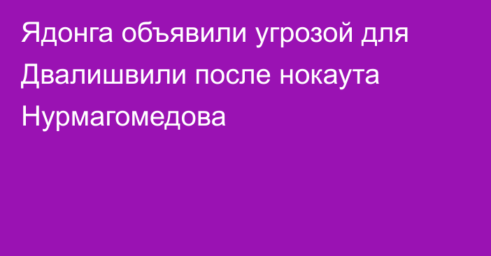 Ядонга объявили угрозой для Двалишвили после нокаута Нурмагомедова