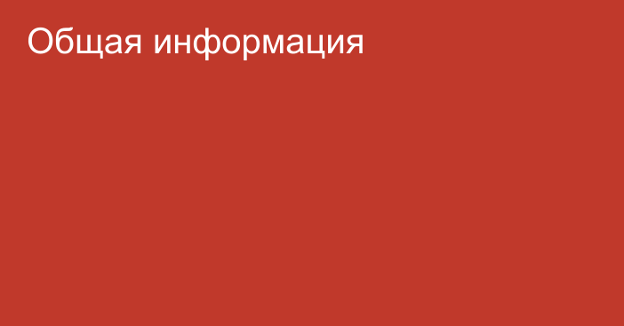Общая информация