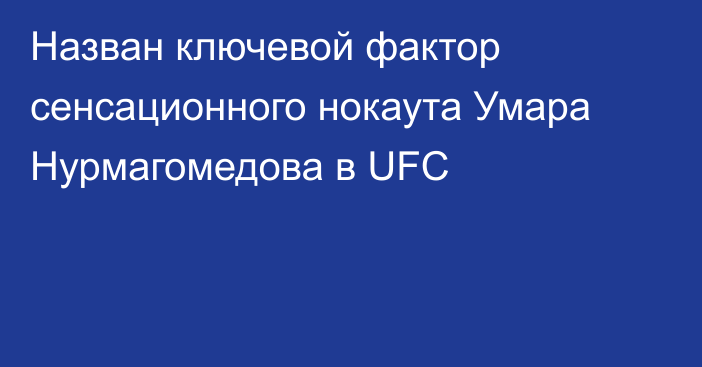 Назван ключевой фактор сенсационного нокаута Умара Нурмагомедова в UFC