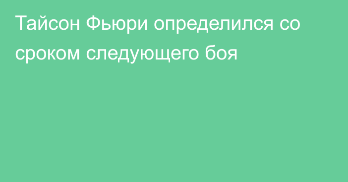 Тайсон Фьюри определился со сроком следующего боя