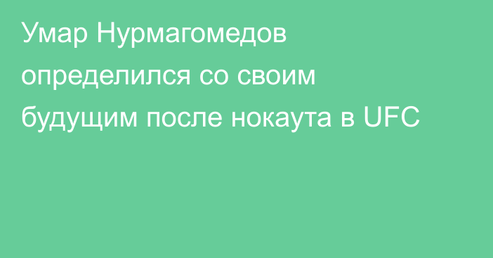 Умар Нурмагомедов определился со своим будущим после нокаута в UFC
