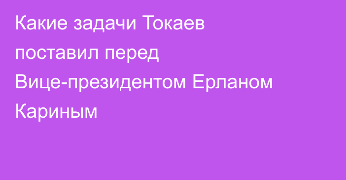 Какие задачи Токаев поставил перед Вице-президентом Ерланом Кариным