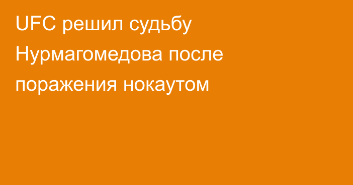 UFC решил судьбу Нурмагомедова после поражения нокаутом