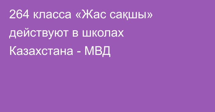 264 класса «Жас сақшы» действуют в школах Казахстана - МВД