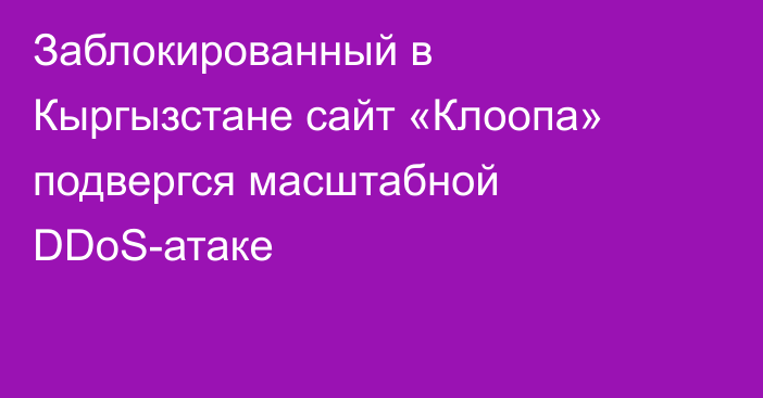 Заблокированный в Кыргызстане сайт «Клоопа» подвергся масштабной DDoS-атаке