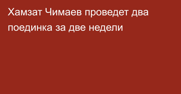 Хамзат Чимаев проведет два поединка за две недели
