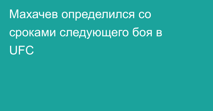 Махачев определился со сроками следующего боя в UFC