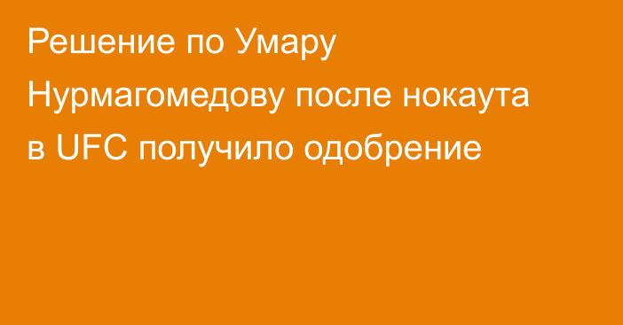 Решение по Умару Нурмагомедову после нокаута в UFC получило одобрение
