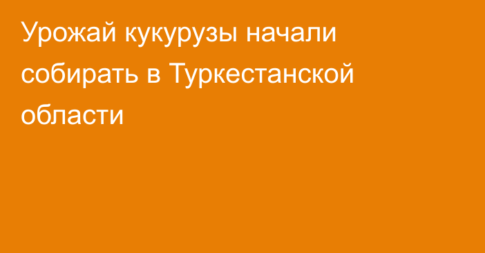 Урожай кукурузы начали собирать в Туркестанской области