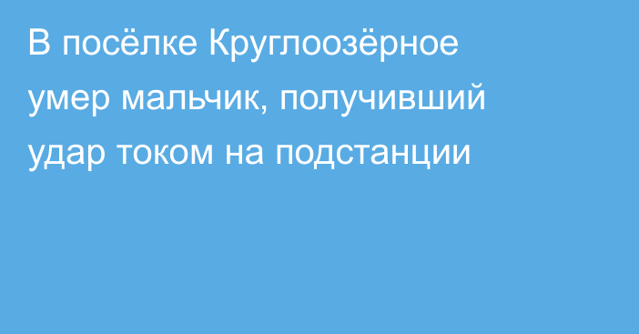 В посёлке Круглоозёрное умер мальчик, получивший удар током на подстанции