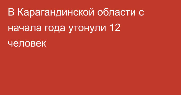 В Карагандинской области с начала года утонули 12 человек