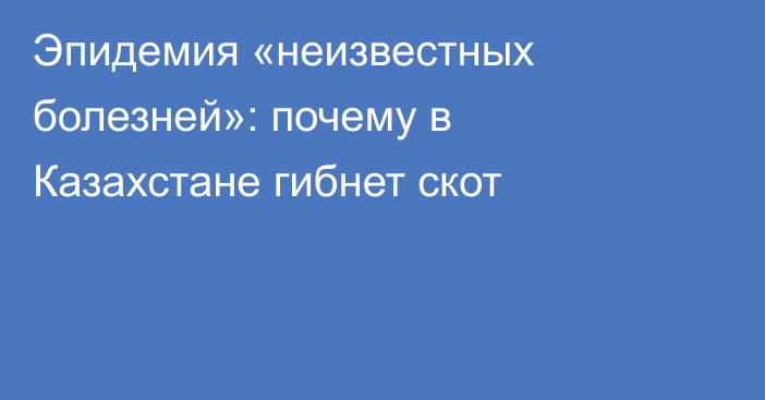 Эпидемия «неизвестных болезней»: почему в Казахстане гибнет скот